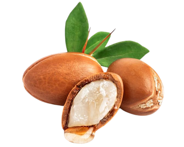 <h5>Argan</h5>